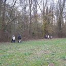 Gemarkungswanderung 2010 -  019